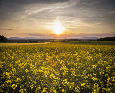 Agra Asigurari Indice de seceta - umiditatea relativa a solului
