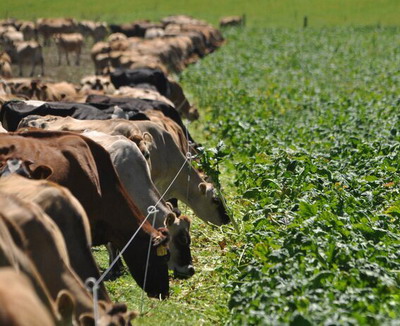 Alianta pentru Agricultura si Cooperare reuseste implinirea a doua obiective importante pentru agricultorii romani