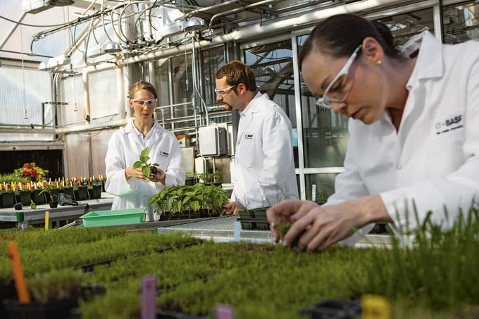 BASF crestere venituri 2021 a