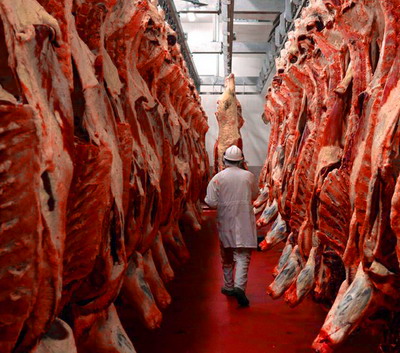 Propunere legislativa: Normele tehnice de clasificare a carcaselor si ale bovinelor vii