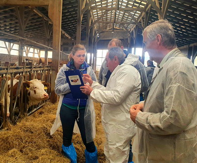 FARM-A-THON: Cum ne ajuta tehnologiile digitale sa eficientizam fermele de vaci?