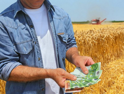 XTB: Pretul graului a crescut cu 130%, iar al porumbului cu 106% fata de media anuala a ultimilor ani