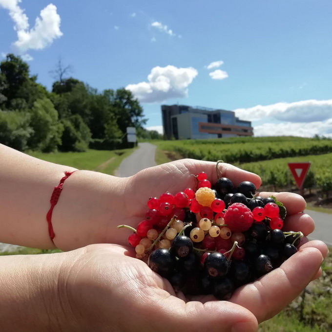 Zilele Horticulturii Clujene editia I in campusul USAMV Cluj-Napoca 2022