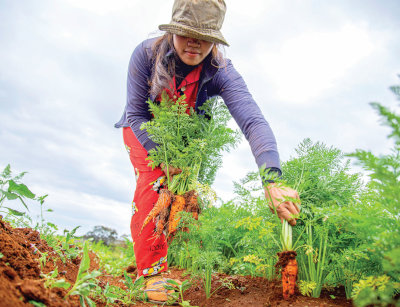 Care este echipamentul de protectie indispensabil pentru un gradinar?