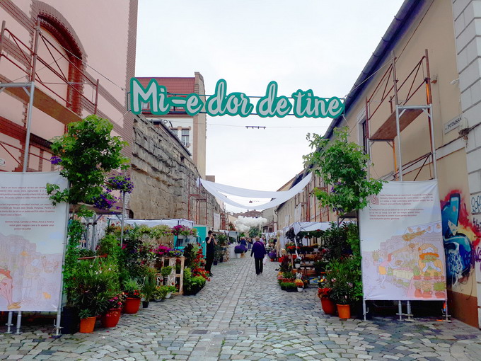 USAMV Cluj-Napoca la evenimentul Strada Potaissa - Piata de flori altfel 1