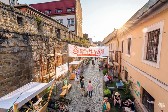 USAMV Cluj-Napoca la evenimentul Strada Potaissa - Piata de flori altfel 2
