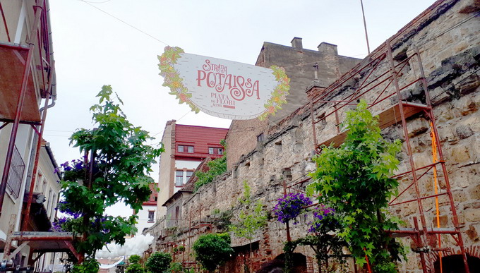 USAMV Cluj-Napoca la evenimentul Strada Potaissa - Piata de flori altfel 3