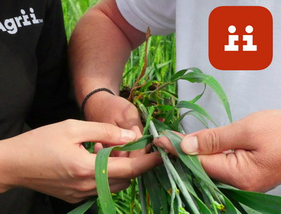 Agrii CODEX+ serviciul digital care faciliteaza accesul fermierilor la seminte, pesticide si fertilizanti