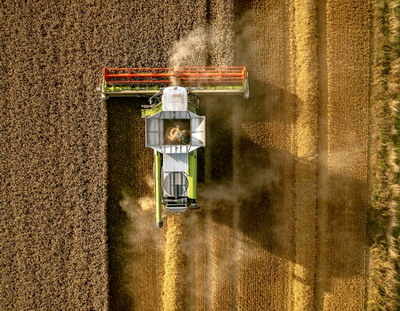 O criza de oferta la grau, putin probabila in 2022 (Studiu – exporturi de cereale din Romania)