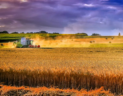 Plan de actiune pentru atenuarea impactului negativ al razboiului din Ucraina asupra comertului cu cereale romanesc si ucrainean