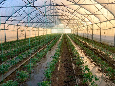 Asociatia Ateliere Fara Frontiere promoveaza agricultura ecologica