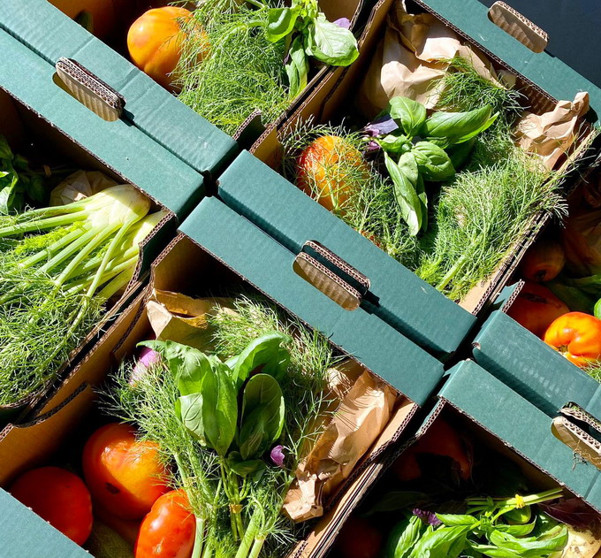 Asociatia Ateliere Fara Frontiere - foto 1