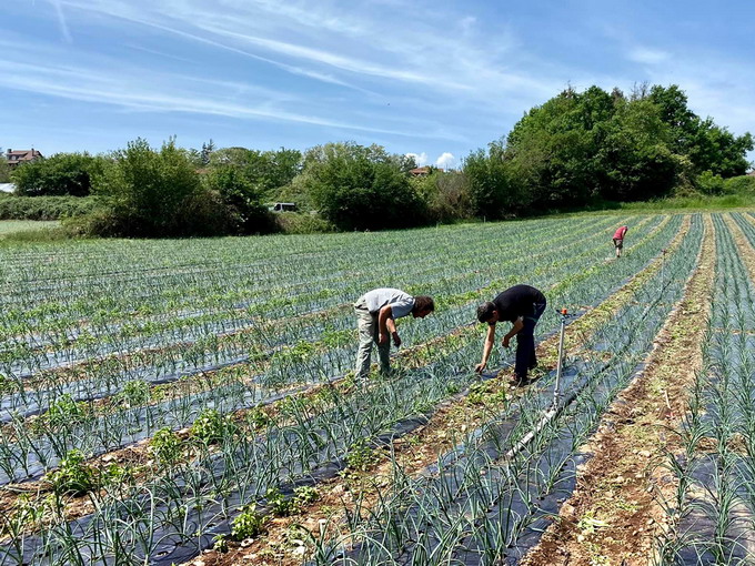 Asociatia Ateliere Fara Frontiere - foto 2