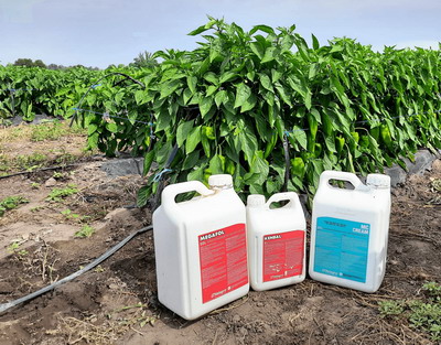 Fermierii romani investesc in solutii pentru a reduce pagubele provocate de seceta