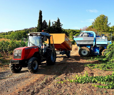 Se depun cererile pentru ajutorul exceptional acordat producatorilor agricoli din sectorul vegetal