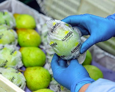 ANSVSA continua controalele in depozitele de legume si fructe