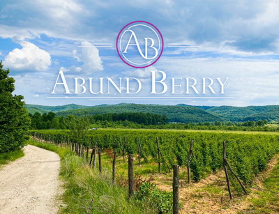 La 26 de ani, antreprenorul Ionel Burtea realizeaza o cifra de afaceri de 6 milioane euro din vanzarea de fructe proaspete