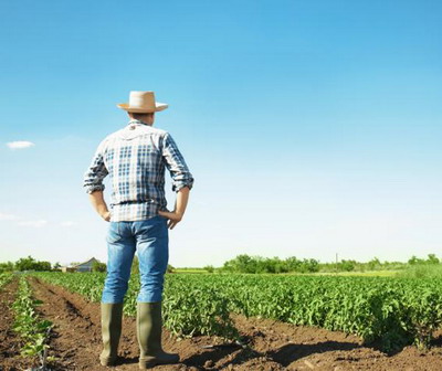 Organizatiile din agricultura se opun modificarii obiectivelor PAC si solicita sustinere politica