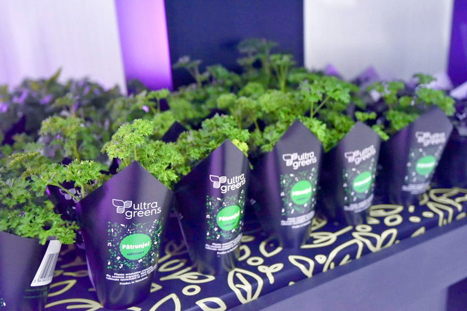 Green Hub Kaufland by Ultragreens 1