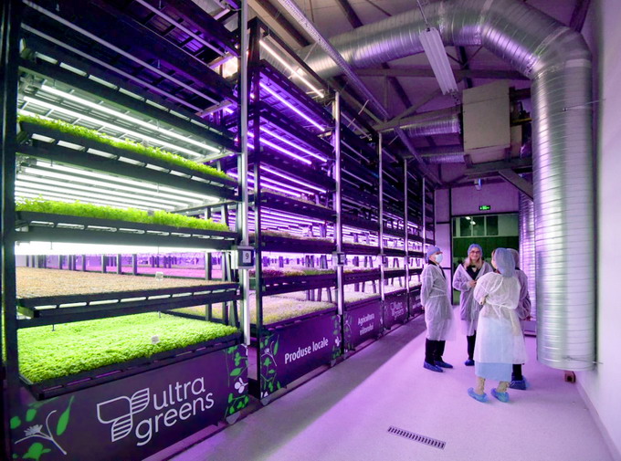 Green Hub Kaufland by Ultragreens 3