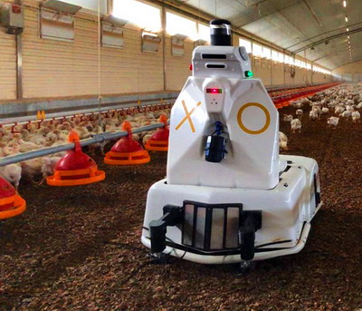 Roboti si inteligenta artificiala in fermele zootehnice. Flextim Industry prezinta ultimele noutati pentru fermele de suine si pasari