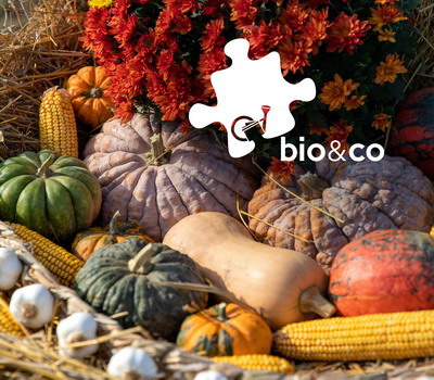 Sarbatoarea Recoltei, petrecuta in mod responsabil printre legume certificate bio, la ferma bio&co de langa Bucuresti