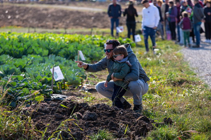 Sarbatoarea Recoltei la ferma bio-co de langa Bucuresti - 3