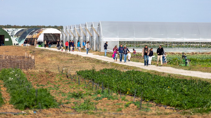 Sarbatoarea Recoltei la ferma bio-co de langa Bucuresti - 5