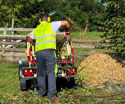 Cum folosesti util resturile lemnoase din ferma