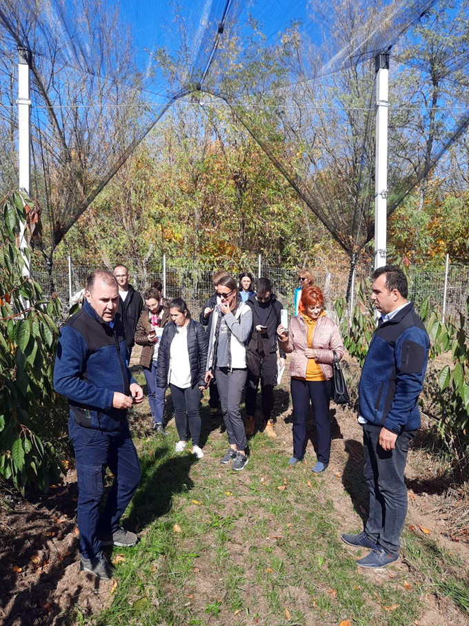 Agricultura 4-0 in livada -  plantatie bio de cires foto 1