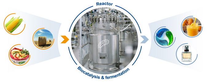 BASF Research 2022 - 3