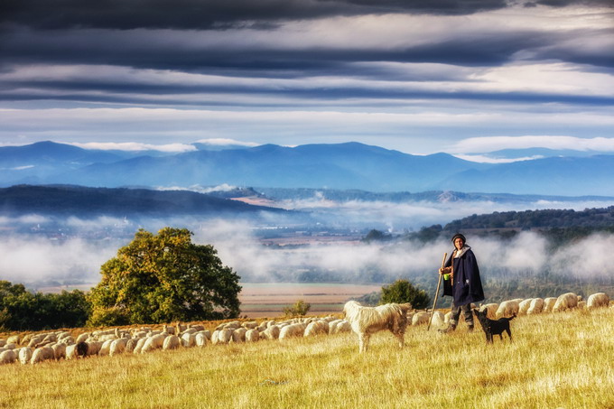 Colinele Transilvaniei - destinatie ecoturistica certificata 2