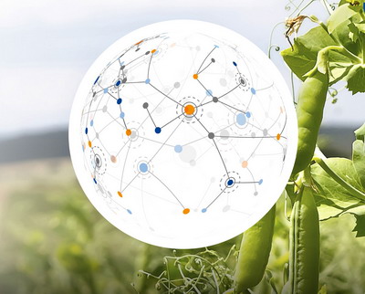 BASF Research: Biotehnologia alba folosind microorganismele creste sustenabilitatea si protejeaza mediul