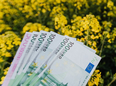 Microgranturi in domeniul agroalimentar - se apropie termenul limita pentru depunerea rapoartelor de progres