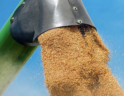 Previziuni scazute pentru cereale in 2022