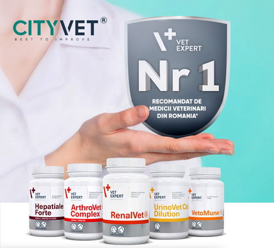 Vet Expert, brandul nr 1 in recomandarea medicilor veterinari