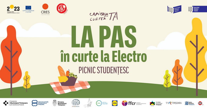 la-pas-in-curte-la-electro