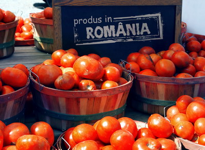 Programul Tomata pentru anul 2023