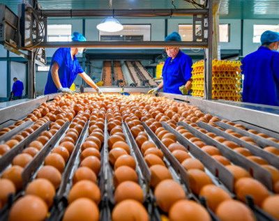 788 de unitati de procesare a produselor agricole au obtinut finantare prin FEADR