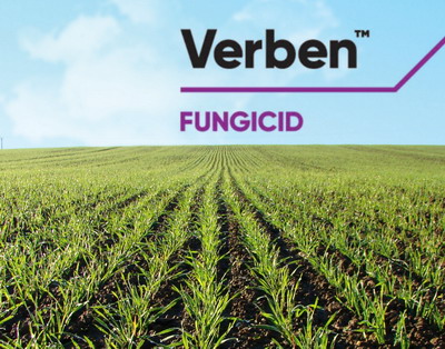 Verben™ – fungicidul NR 1 din T1! Fungicid inovator pentru culturile de cereale paioase
