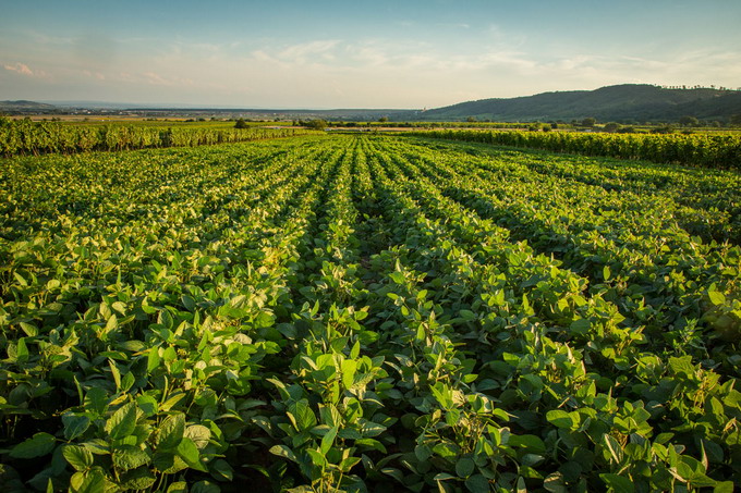 Practici pentru o economie durabila 4