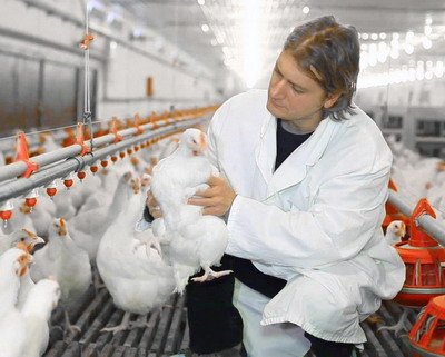 Grupul ungar Hodler Capital a incheiat un joint venture cu producatorul roman de carne de pasare Oprea Avi Com