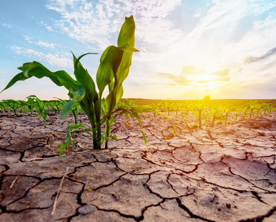 Insecuritatea apei este una dintre cele mai mari amenintari pentru fermieri