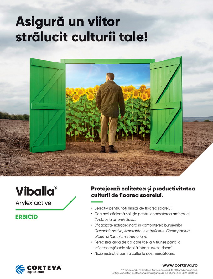 VIBALLA - Macheta