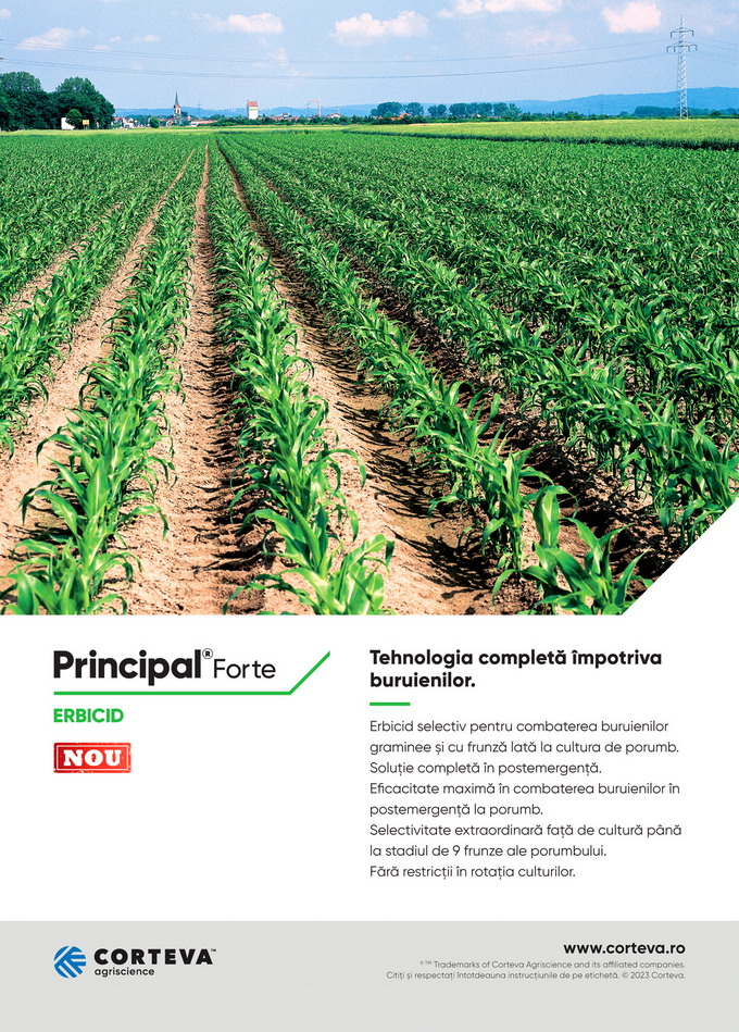 Macheta Principal Forte - Corteva