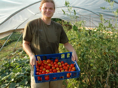 Tinerii fermieri reprezinta circa 32% din totalul producatorilor inscrisi in Programului Tomata