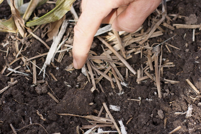 Agreena si IPSO Agricultura - Agreena Regenerative Farms