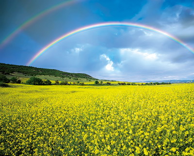 PT303 – Un ALIAT in camp