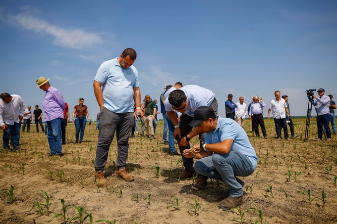 ONE SMART SPRAY - lansare fermieri Romania - Foto 5