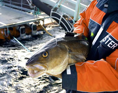 Subventii pentru motorina utilizata in acvacultura